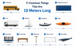 How Long Is 10 Meters