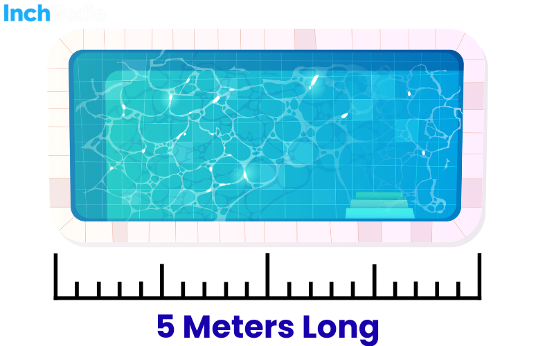 How Long Is 5 Meters