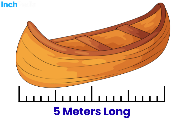 How Long Is 5 Meters