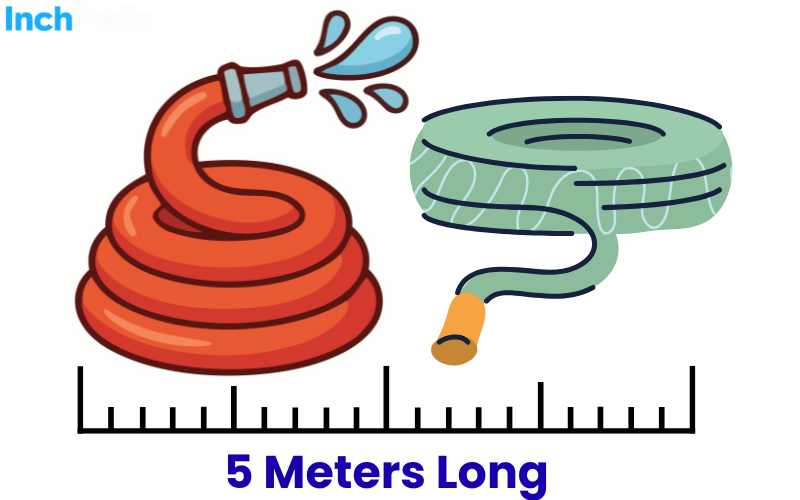 How Long Is 5 Meters