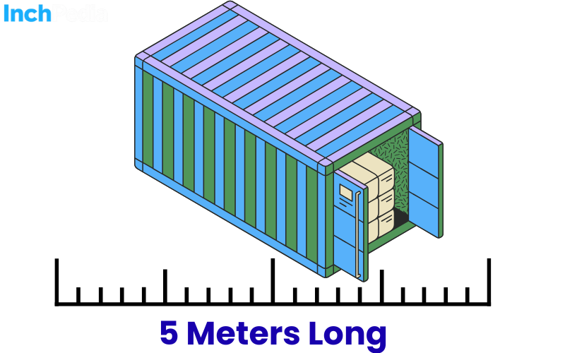 How Long Is 5 Meters