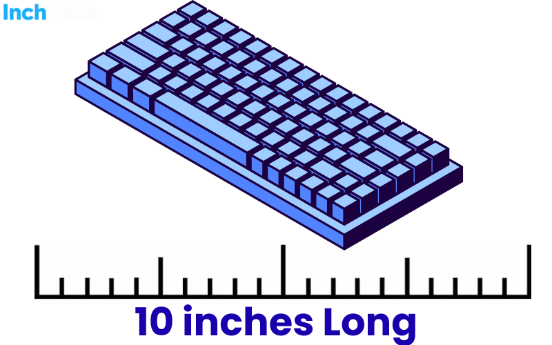 How Long Is 10 Inches