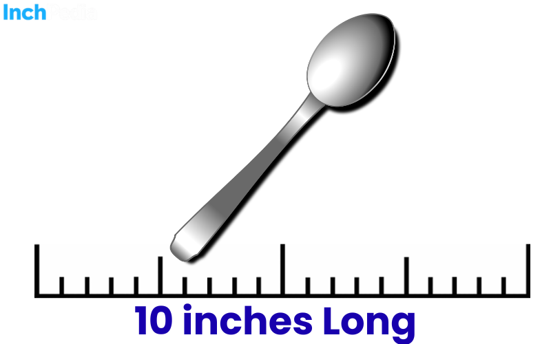 How Long Is 10 Inches