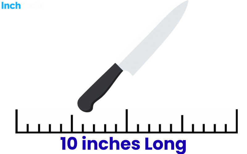 How Long Is 10 Inches