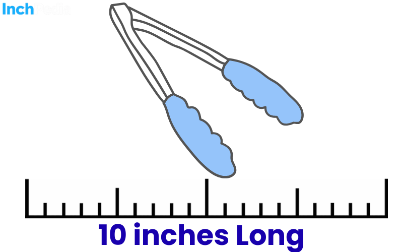 How Long Is 10 Inches