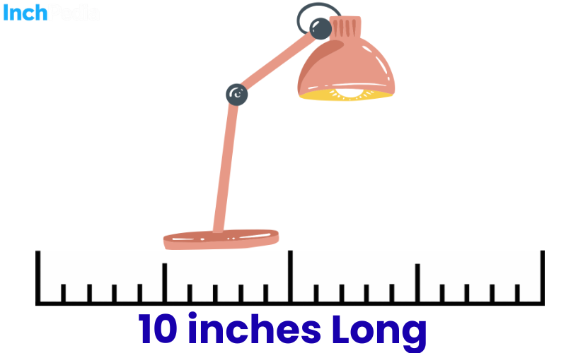 How Long Is 10 Inches