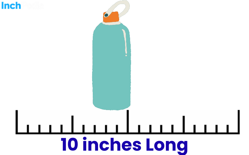 How Long Is 10 Inches