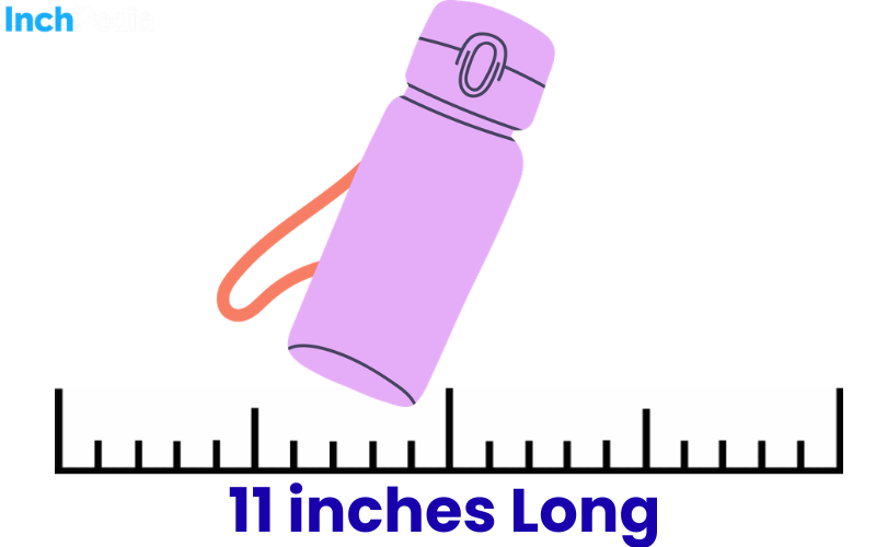 How Long Is 11 Inches