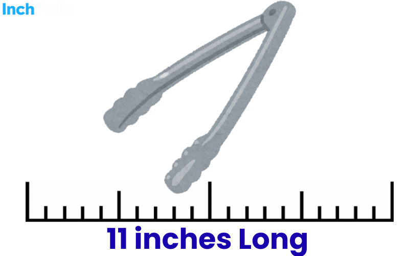 How Long Is 11 Inches