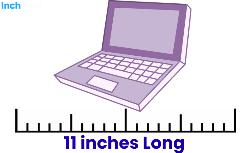 How Long Is 11 Inches