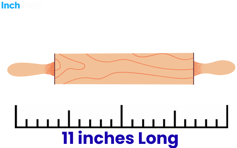 How Long Is 11 Inches