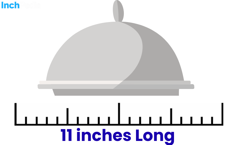How Long Is 11 Inches
