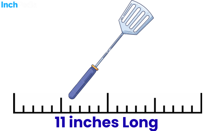 How Long Is 11 Inches
