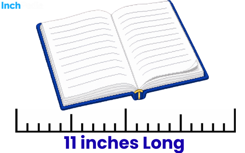How Long Is 11 Inches