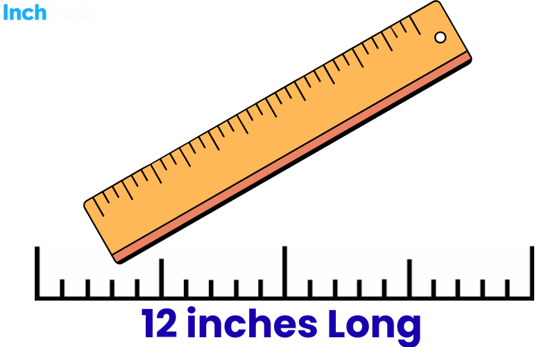 How Long Is 12 Inches