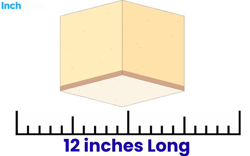 How Long Is 12 Inches