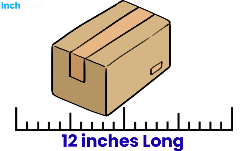 How Long Is 12 Inches