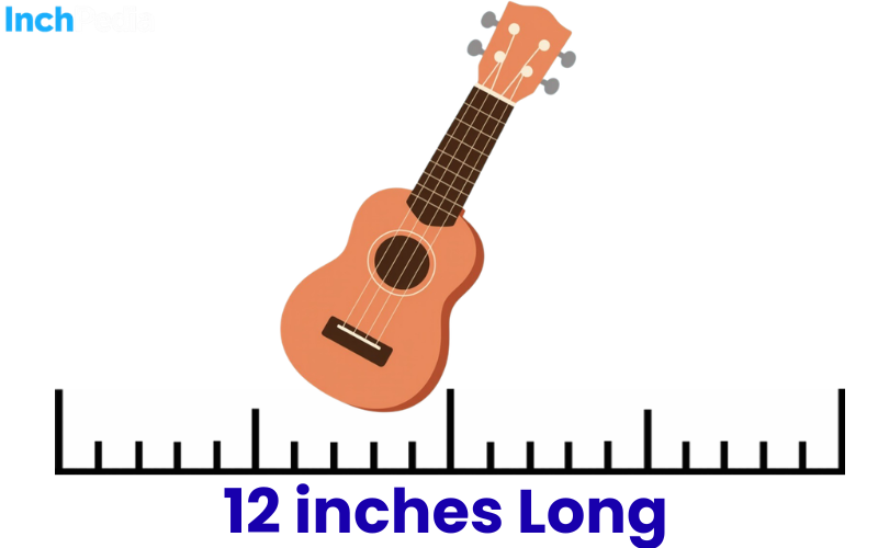 How Long Is 12 Inches