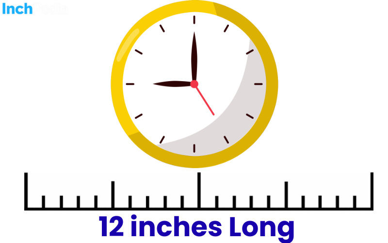 How Long Is 12 Inches