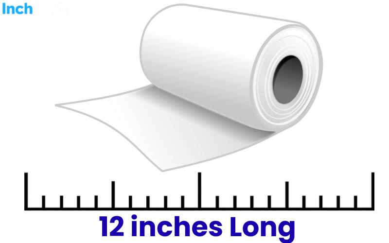 How Long Is 12 Inches