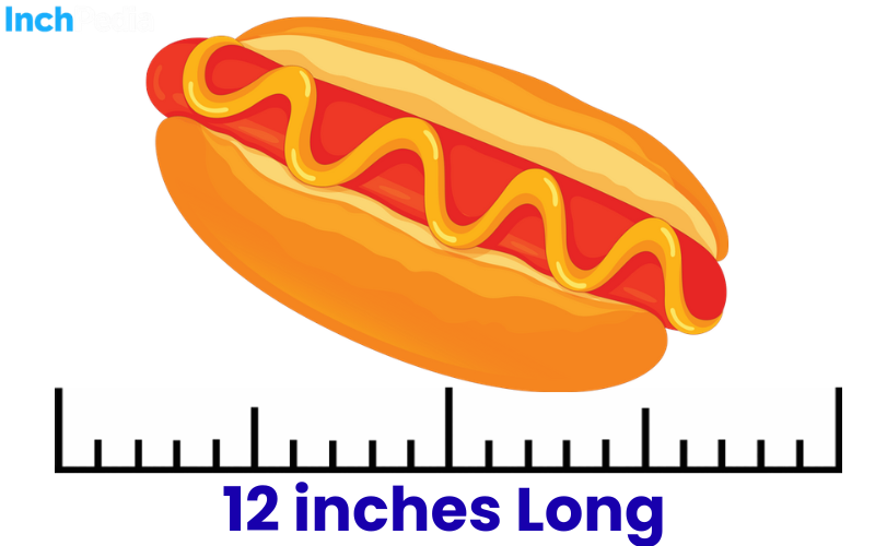 How Long Is 12 Inches