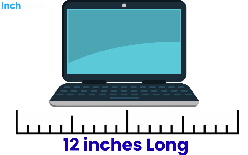 How Long Is 12 Inches