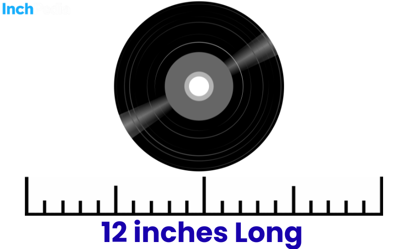 How Long Is 12 Inches