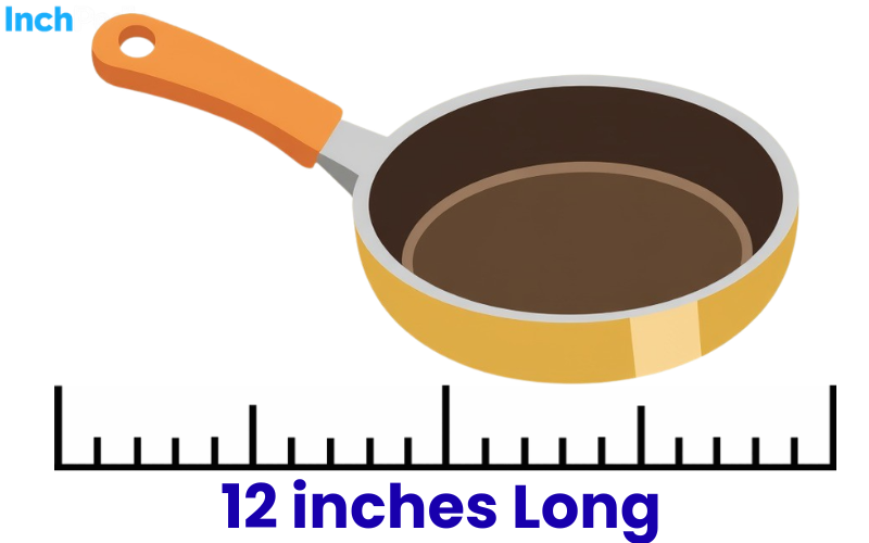 How Long Is 12 Inches