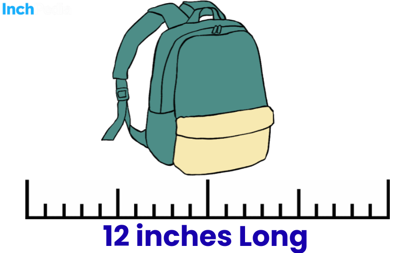 How Long Is 12 Inches