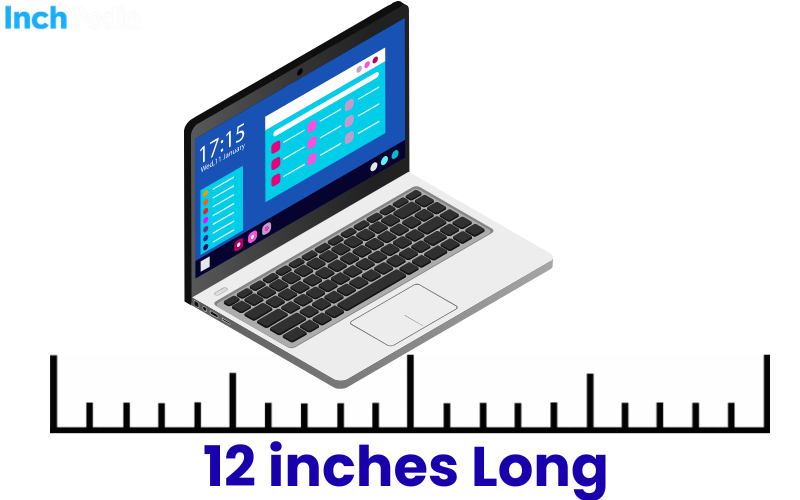 How Long Is 12 Inches