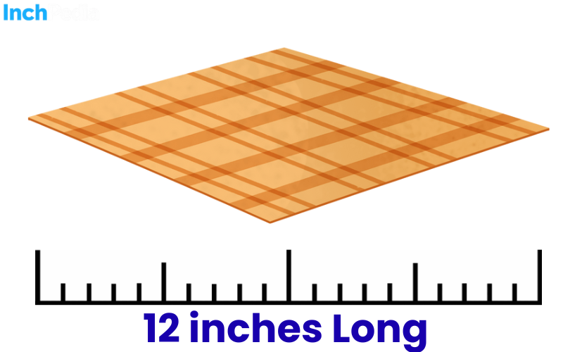 How Long Is 12 Inches
