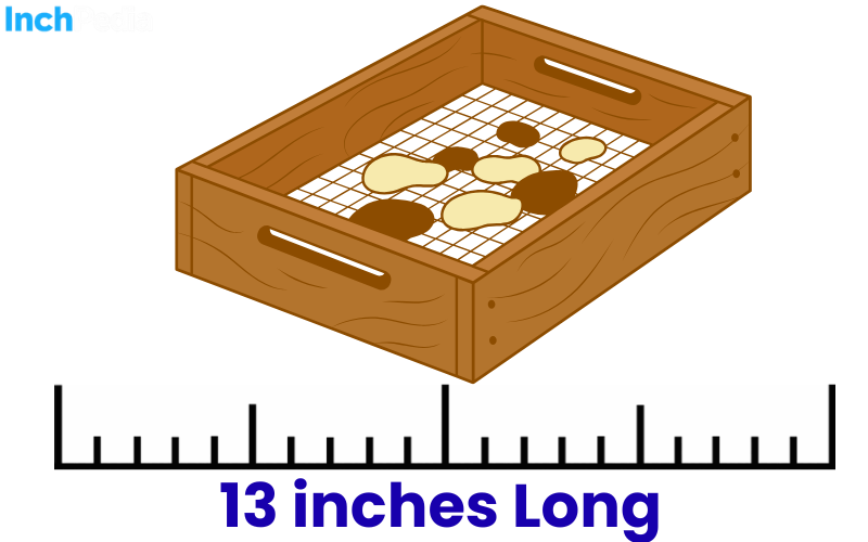 How Long Is 13 Inches