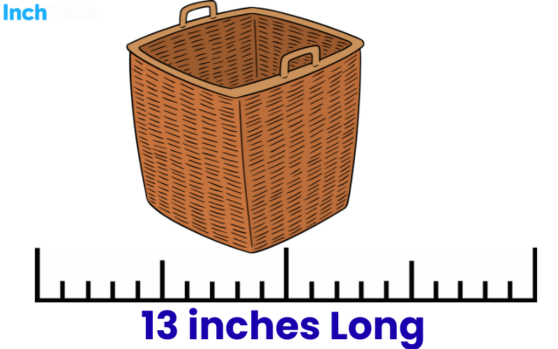 How Long Is 13 Inches