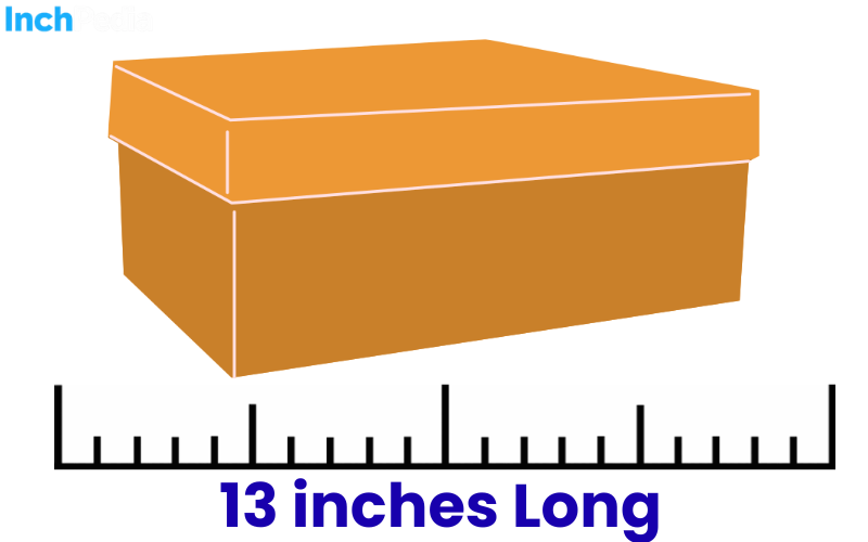 How Long Is 13 Inches