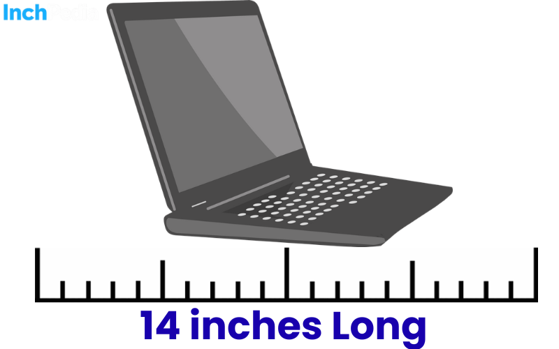 How Long Is 14 Inches