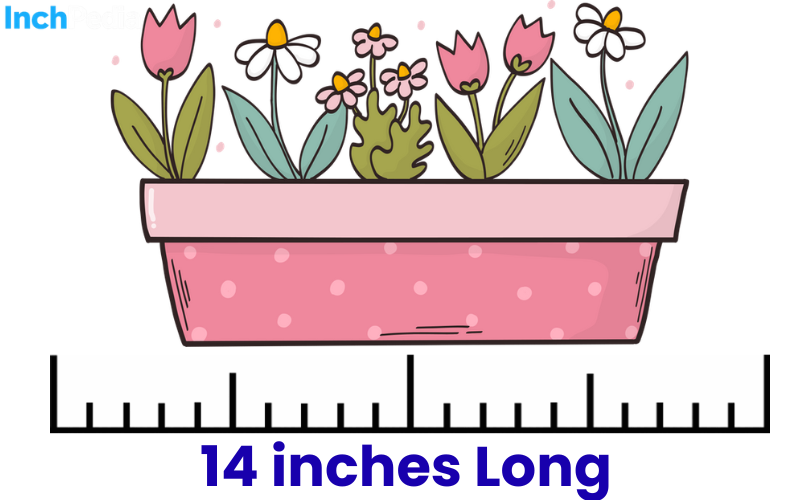 How Long Is 14 Inches