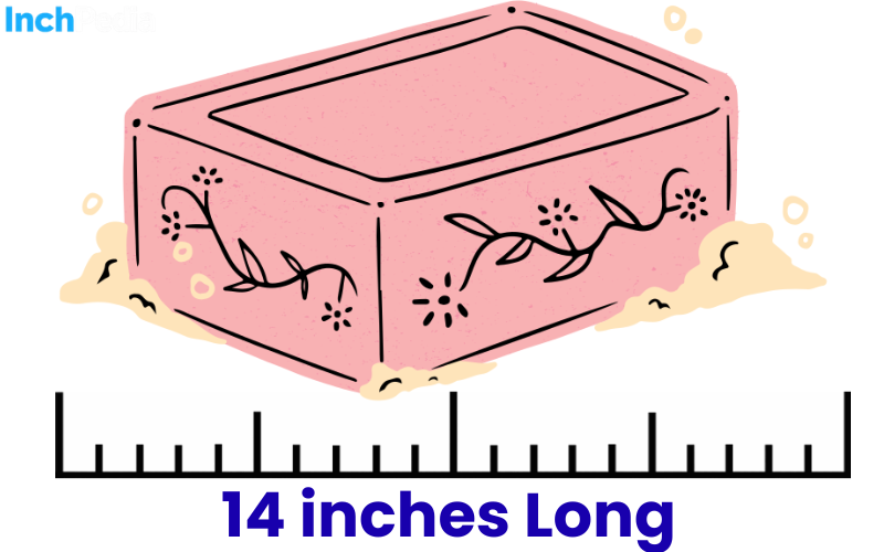How Long Is 14 Inches