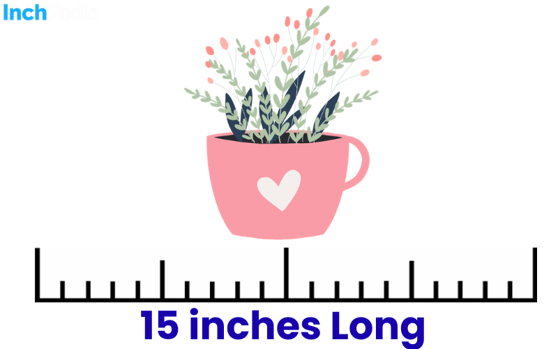 How Long Is 15 Inches