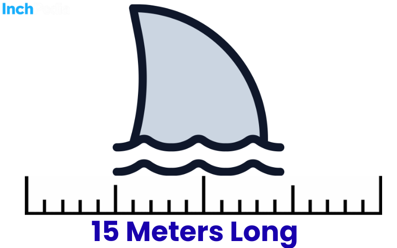 How Long Is 15 Meters