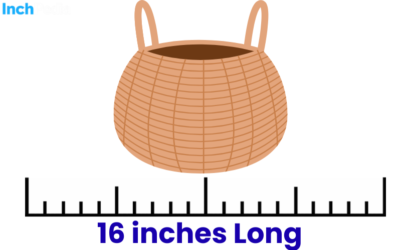 How Long Is 16 Inches