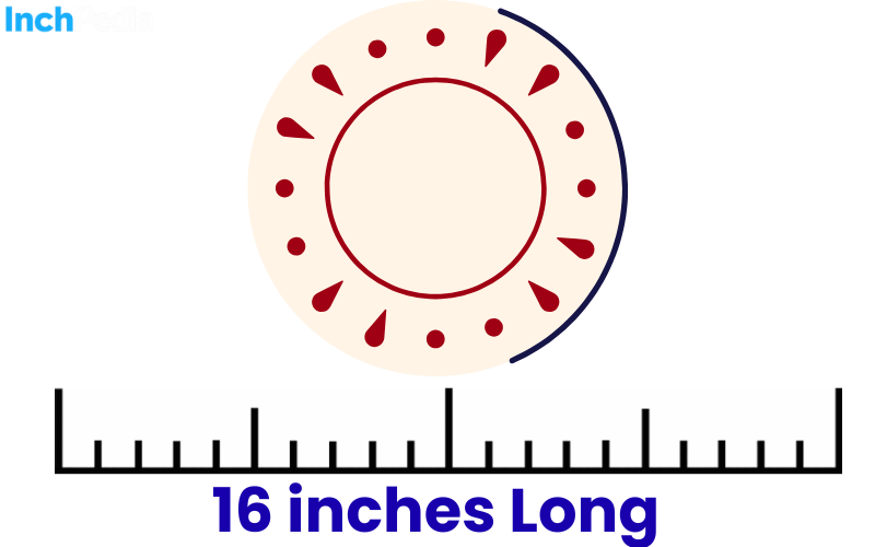 How Long Is 16 Inches