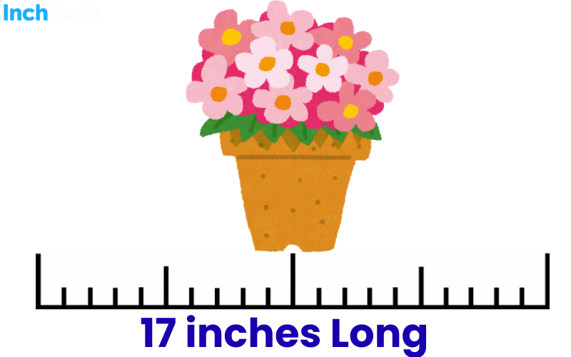 How Long Is 17 Inches