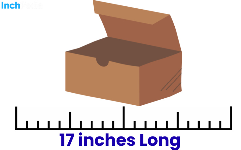 How Long Is 17 Inches
