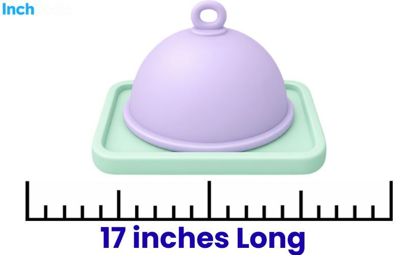 How Long Is 17 Inches