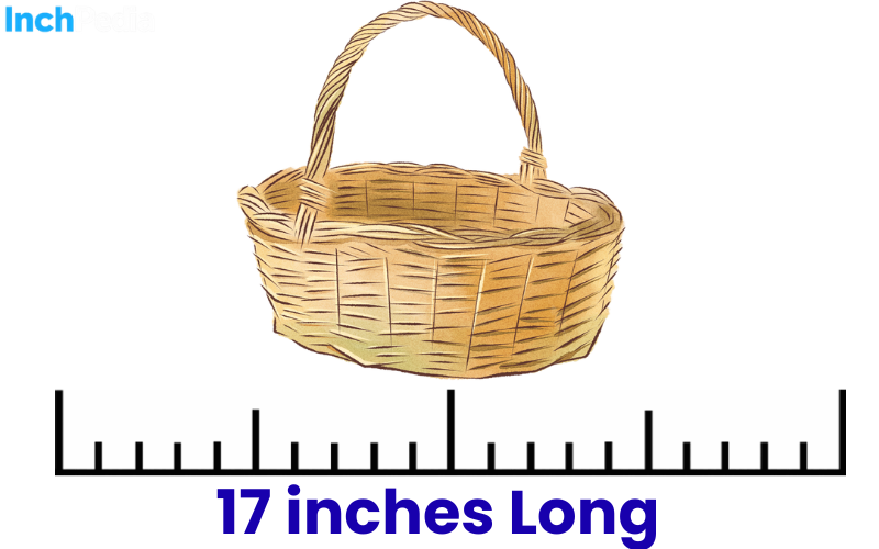 How Long Is 17 Inches
