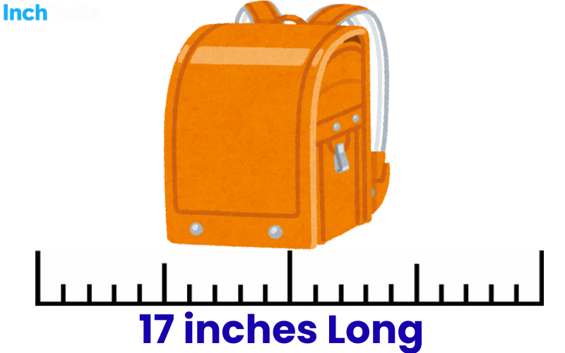 How Long Is 17 Inches