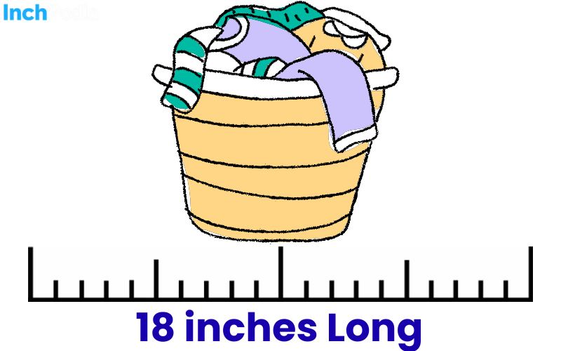 How Long Is 18 Inches