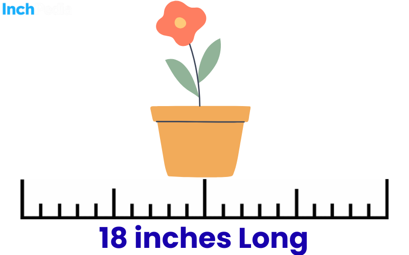 How Long Is 18 Inches