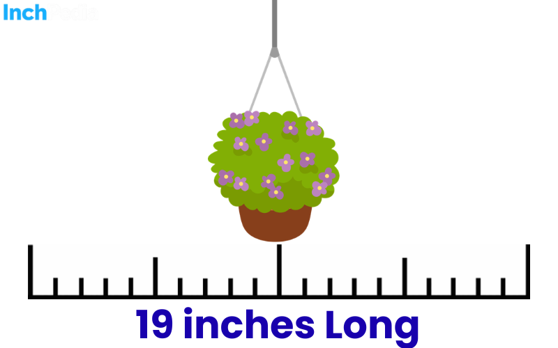 How Long Is 19 Inches