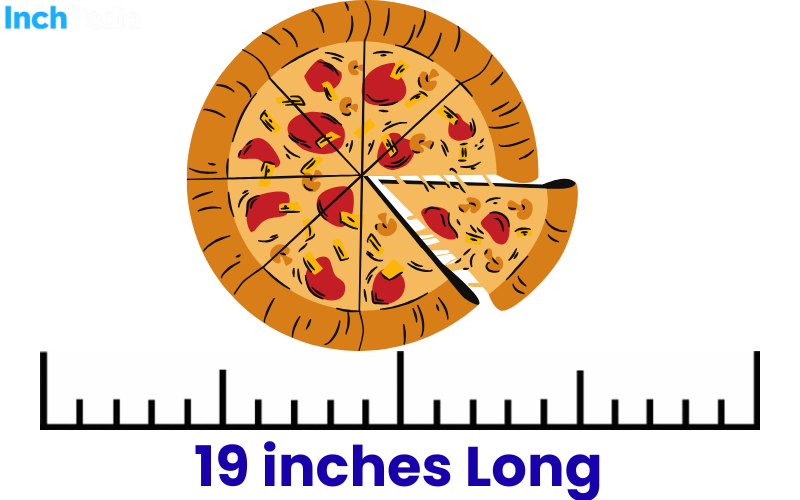 How Long Is 19 Inches